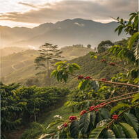 gvid iExporer 592 - Watch Video