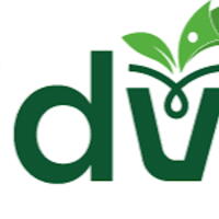 Paidvine - Register & Complete Survey [US]