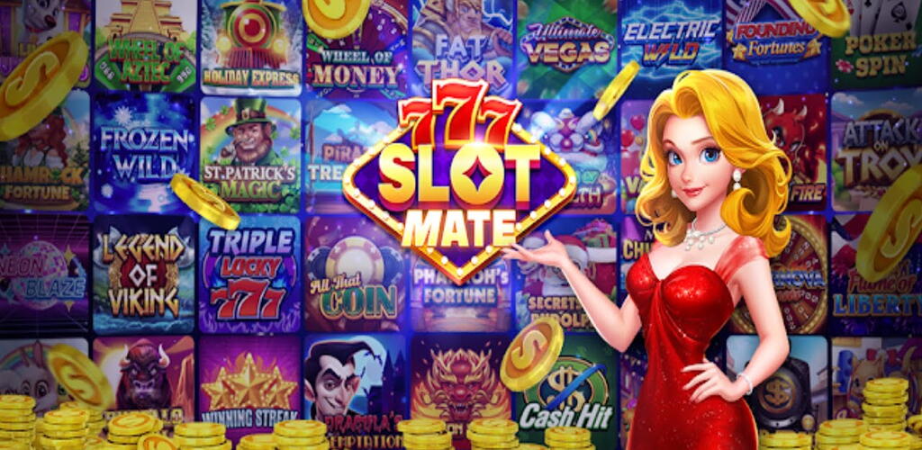 Slot Mate - Multi